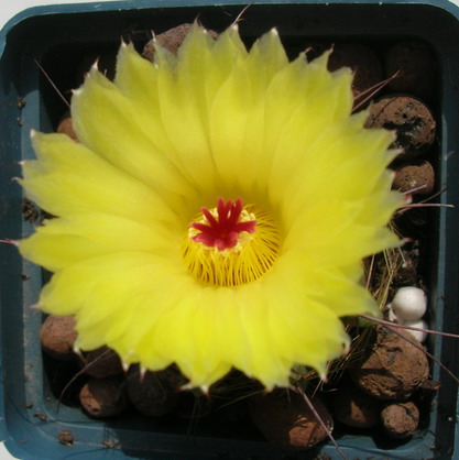 12.06.2008