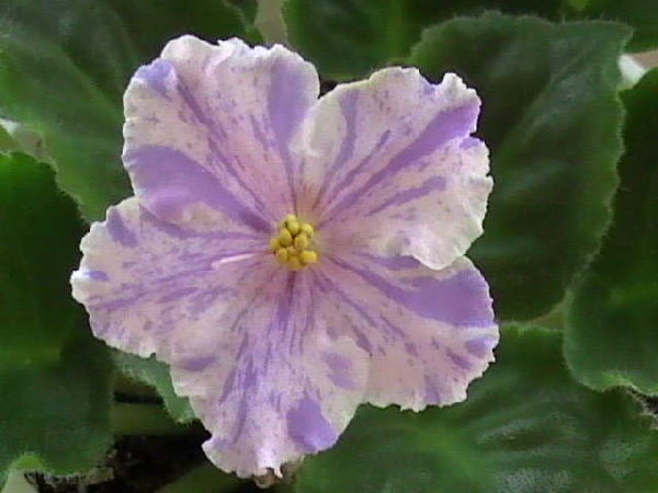 DVC01169.JPG