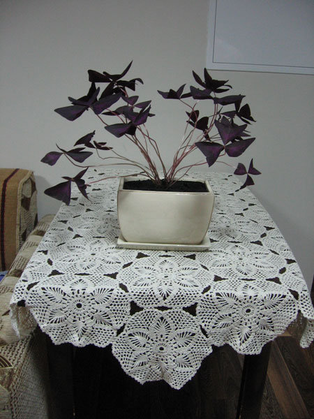 IMG_1336.jpg