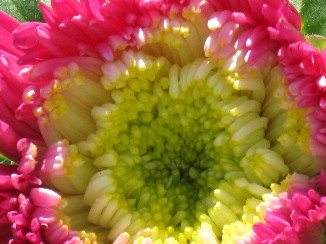 IMG_0280.JPG