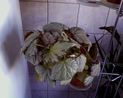 SP_A1165_000.jpg