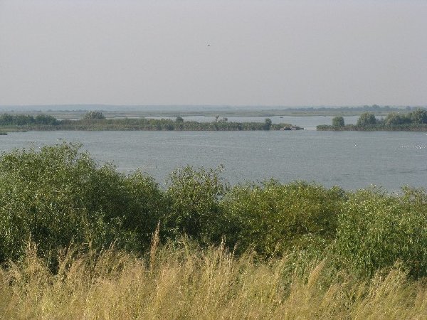 IMG_1110.JPG