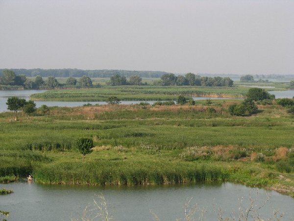 IMG_1111.JPG