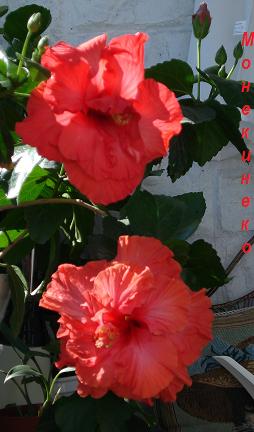 DSC02755.jpg