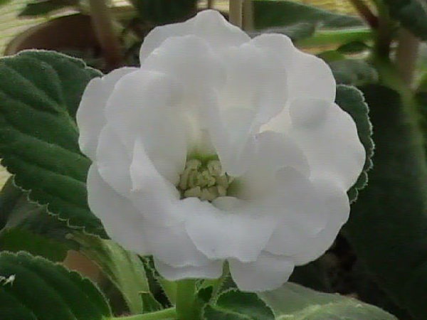 DVC01660.JPG