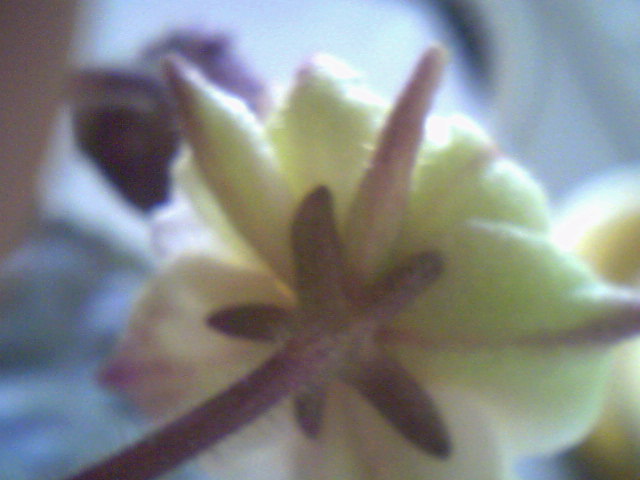 Ph0021.jpg