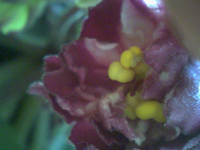 Ph0020.jpg