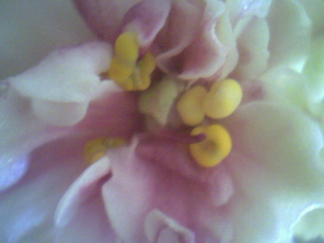 Ph0017.jpg