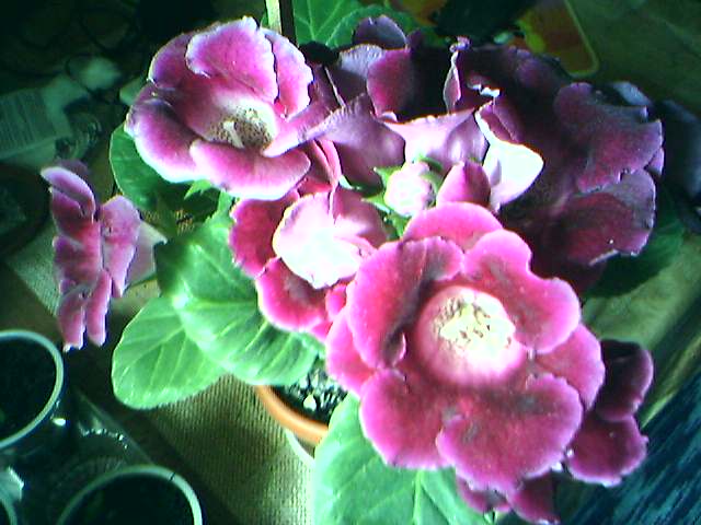 22-05-06_1101.jpg