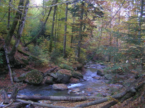 PA110045.JPG