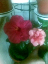 ____021_000.jpg