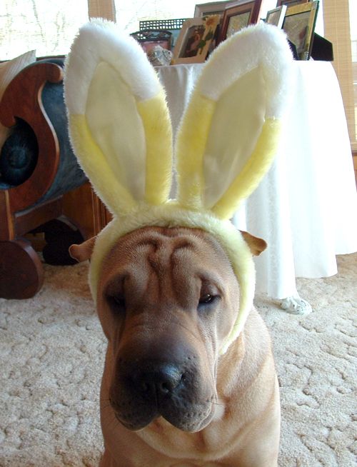 image012.jpg