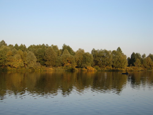 IMG_4144.jpg