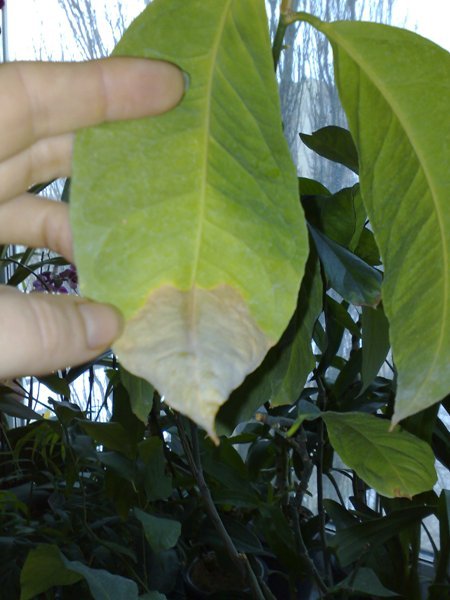 07012009308.jpg