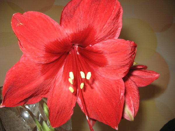IMG_1333.JPG
