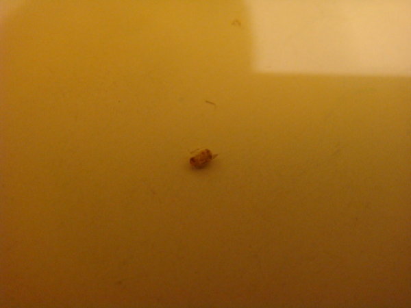 DSC02271.JPG