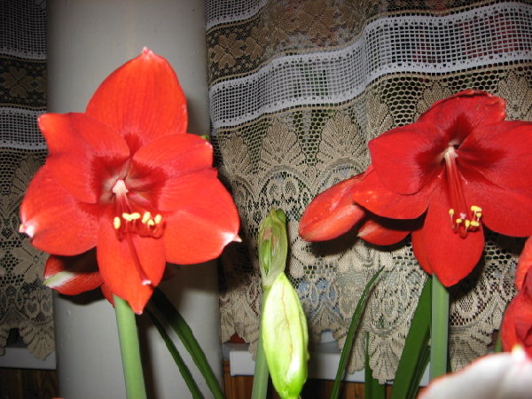 IMG_1391.JPG