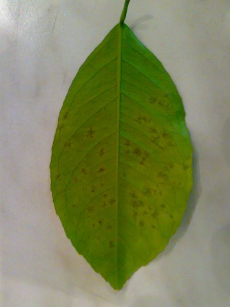 28022009484.jpg