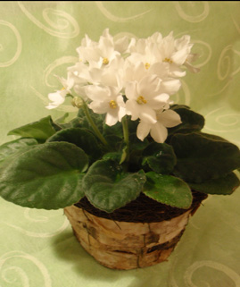 PB180237копирование.jpg