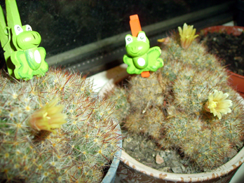 PICT0024.jpg