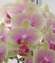 rainbow-01.jpg