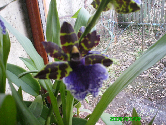 PICT0004.JPG