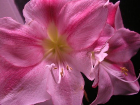 DSCN8507.JPG