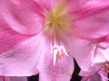DSCN8516.JPG