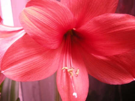 DSCN8511.JPG