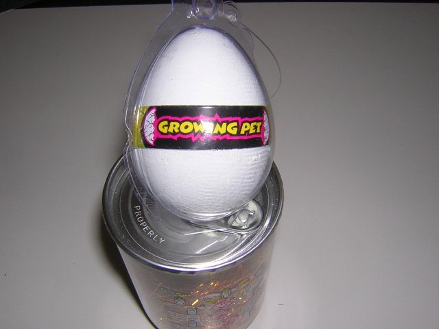 DSCN2972.jpg