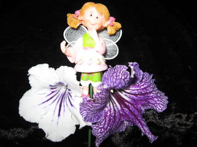 IMG_1483.jpg