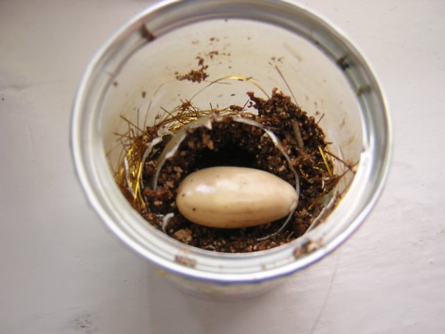 DSCN3024.jpg