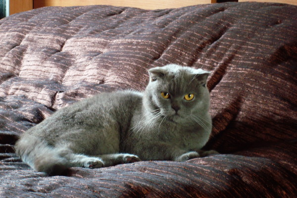 Фотомодель Вася