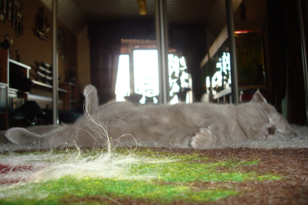 Вася- это доця.