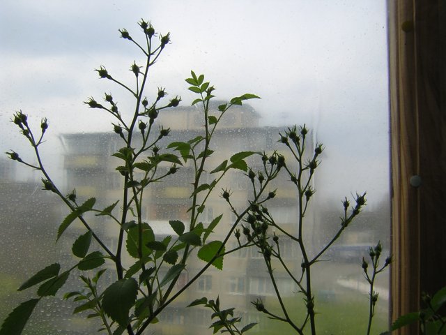 DSCN3069.jpg