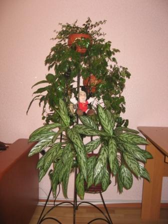IMG_7121.jpg