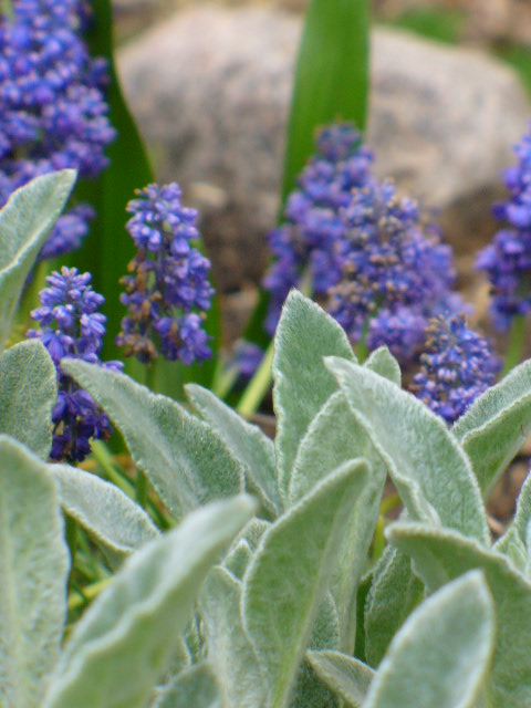 P1120194.JPG