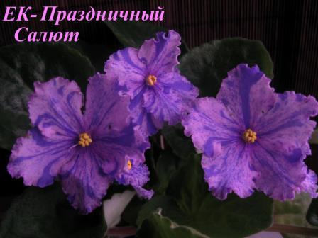 живьем он светлее,розовый нежнее. хорошо передаются фантазюшки-из 3-х деток все 3 правильные