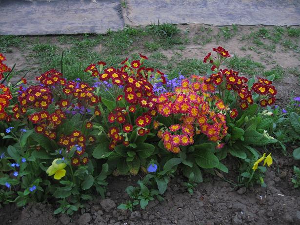 p10.JPG