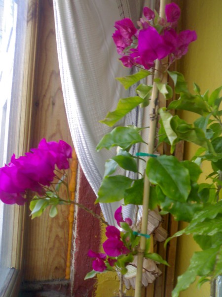 006_007.jpg