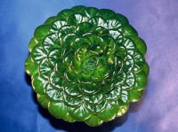 Petrocosmea minor.jpg