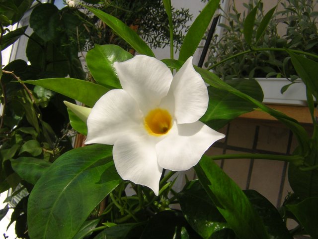 DSCN3286.jpg