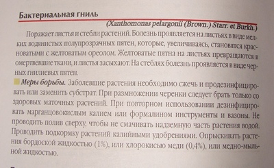 DSC00171_1.JPG