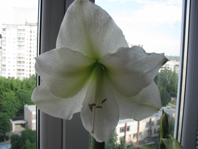 IMG_1640.JPG