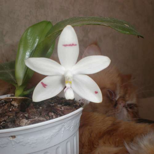 img0007.jpg