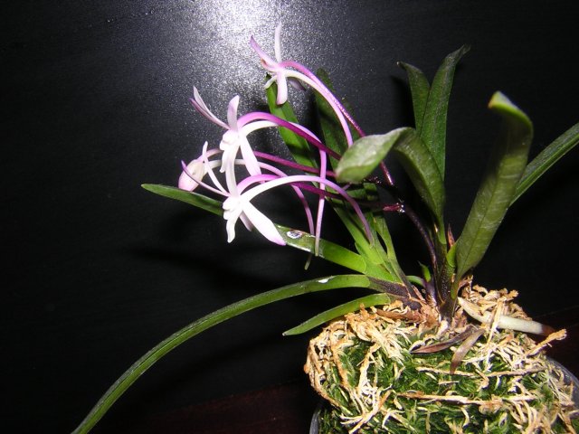 DSCN3358.jpg