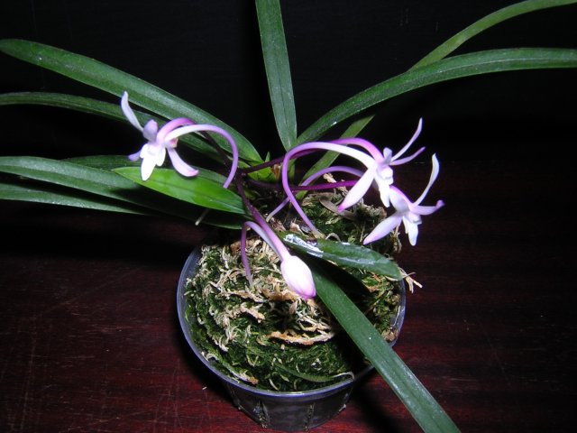 DSCN3361.jpg
