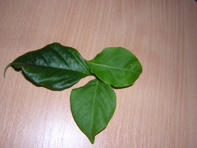 DSCN3430.jpg