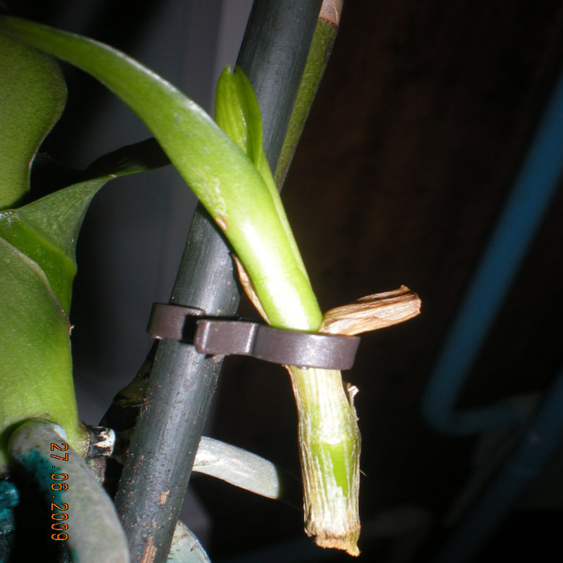 DSCN1138.JPG