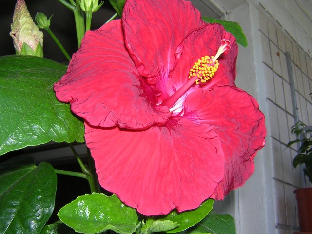 DSCN3549.jpg